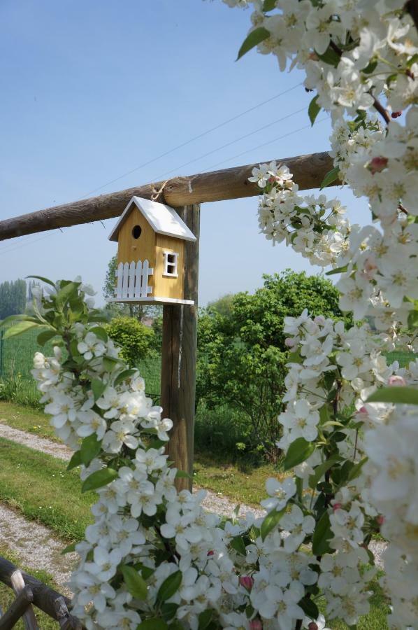 Gite L'Atelier Villa Lecelles Exterior photo