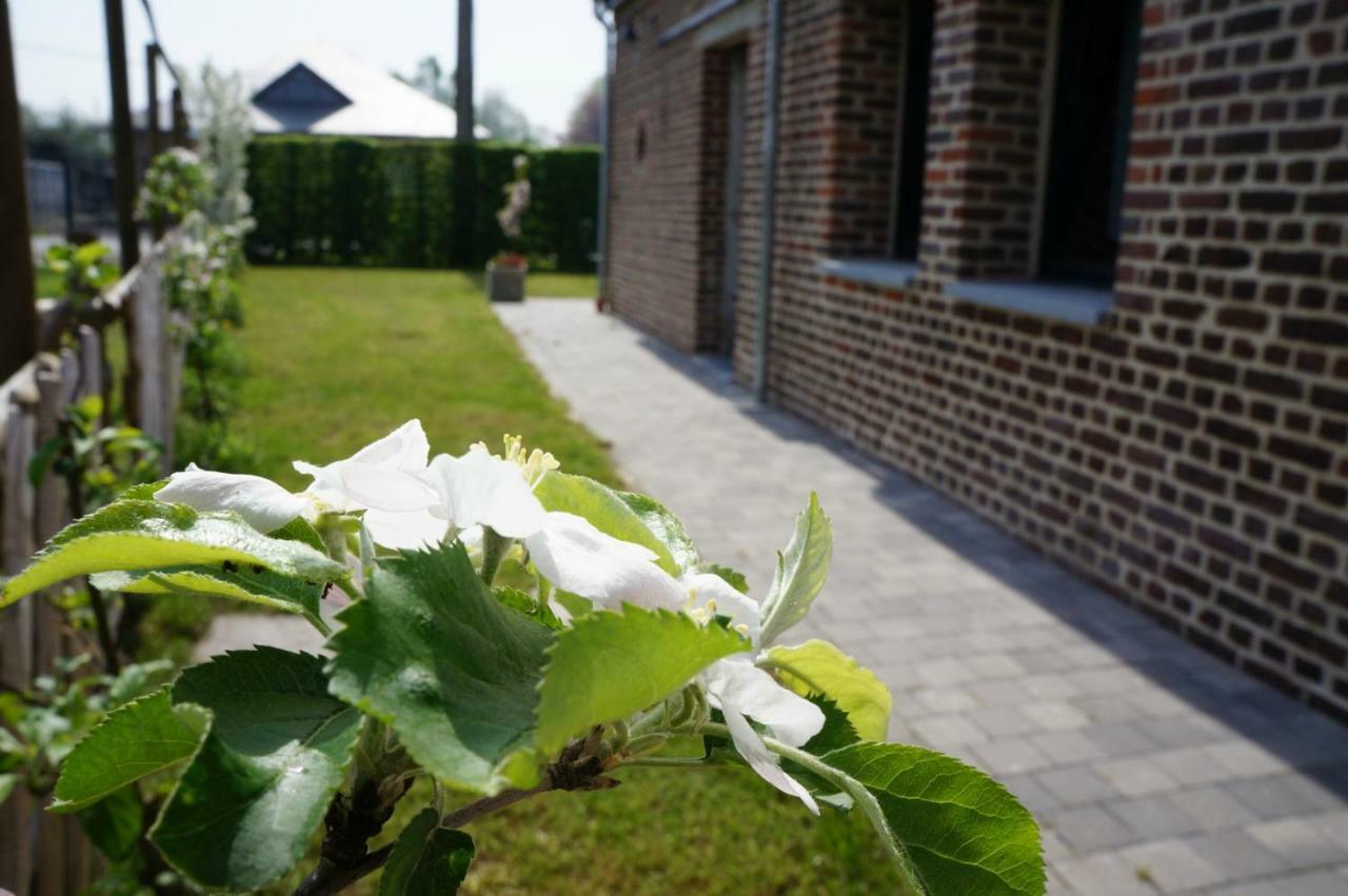 Gite L'Atelier Villa Lecelles Exterior photo